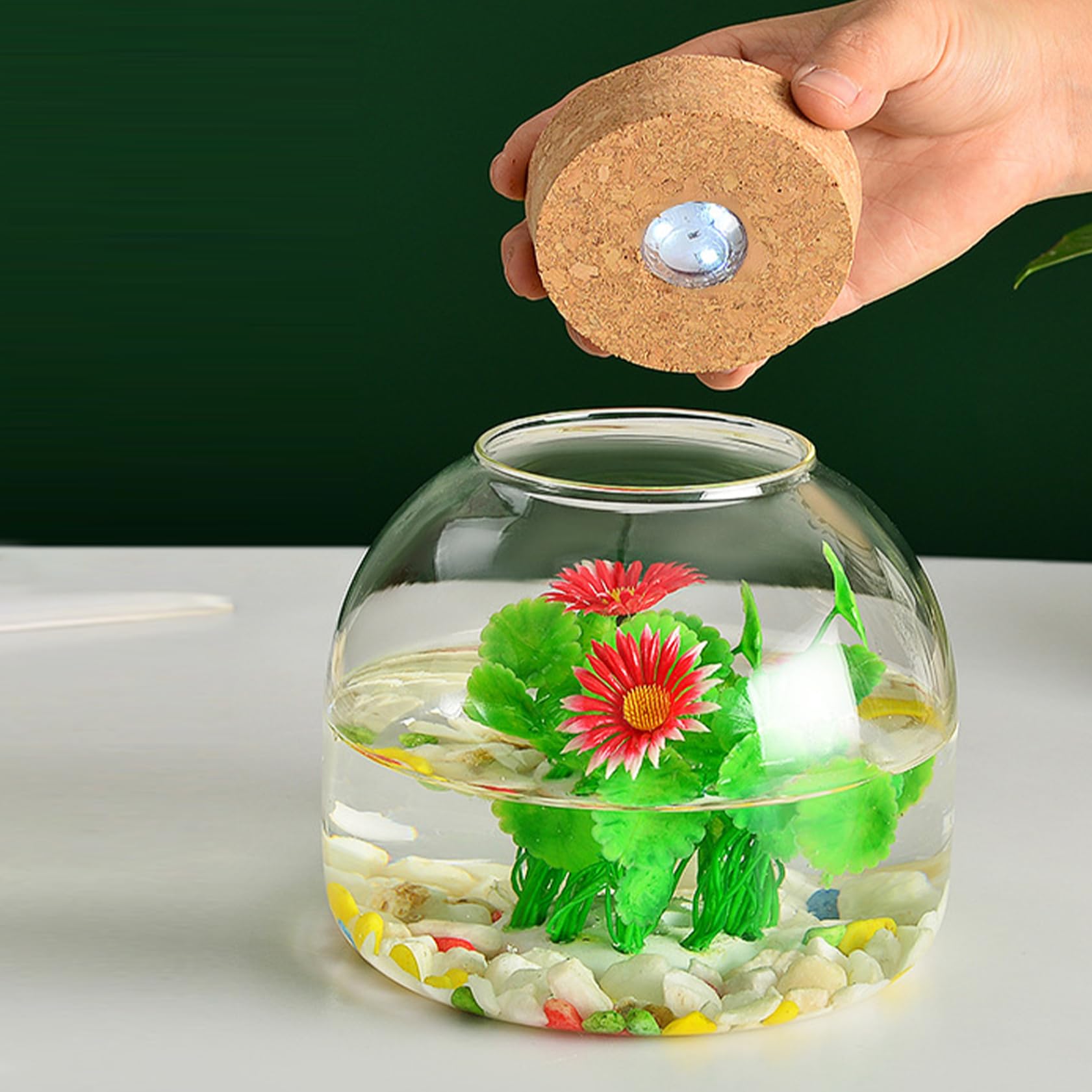 Terrario de Vidrio de 1600 ml con Tapa de Corcho, Gran Frasco de Apertura para Mini suculentas, exhibiciones Florales y Colecciones de artesanía, terrario de Vidrio