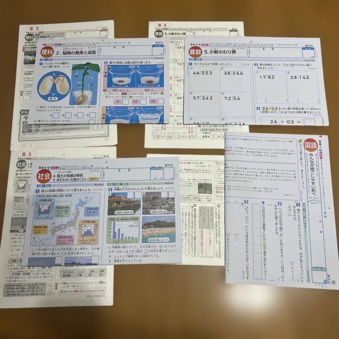 小学5年生 カラーテスト 計25枚 国語 算数 理科 社会 新学社 小学2年生