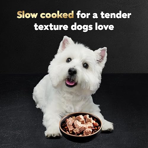 Miniatura 3 de Cesar - Paquete variado de comida húmeda para perros en trocitos en salsa, pan con salsa clásico con sabor a churrasco y pollo a la parrilla, 3.5