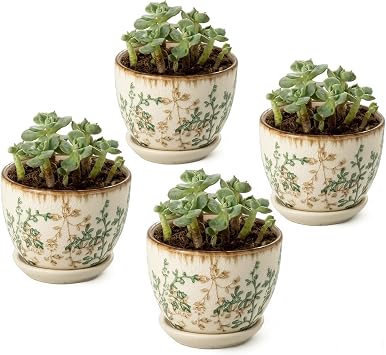 3.5 Inch Ceramic Plant Pots, Nursery Pots with Drainage Hole, Large Tortilla Warmers with Lid 8.8 Inch, Embossed Ceramic Tortilla Holder Servers Oven Safe