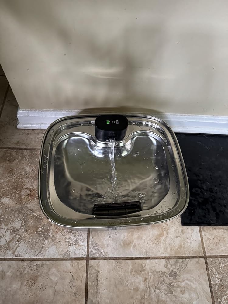 Automatic Dog Water Dispenser 10L – Large Capacity Fountain with Filter & App Monitoring