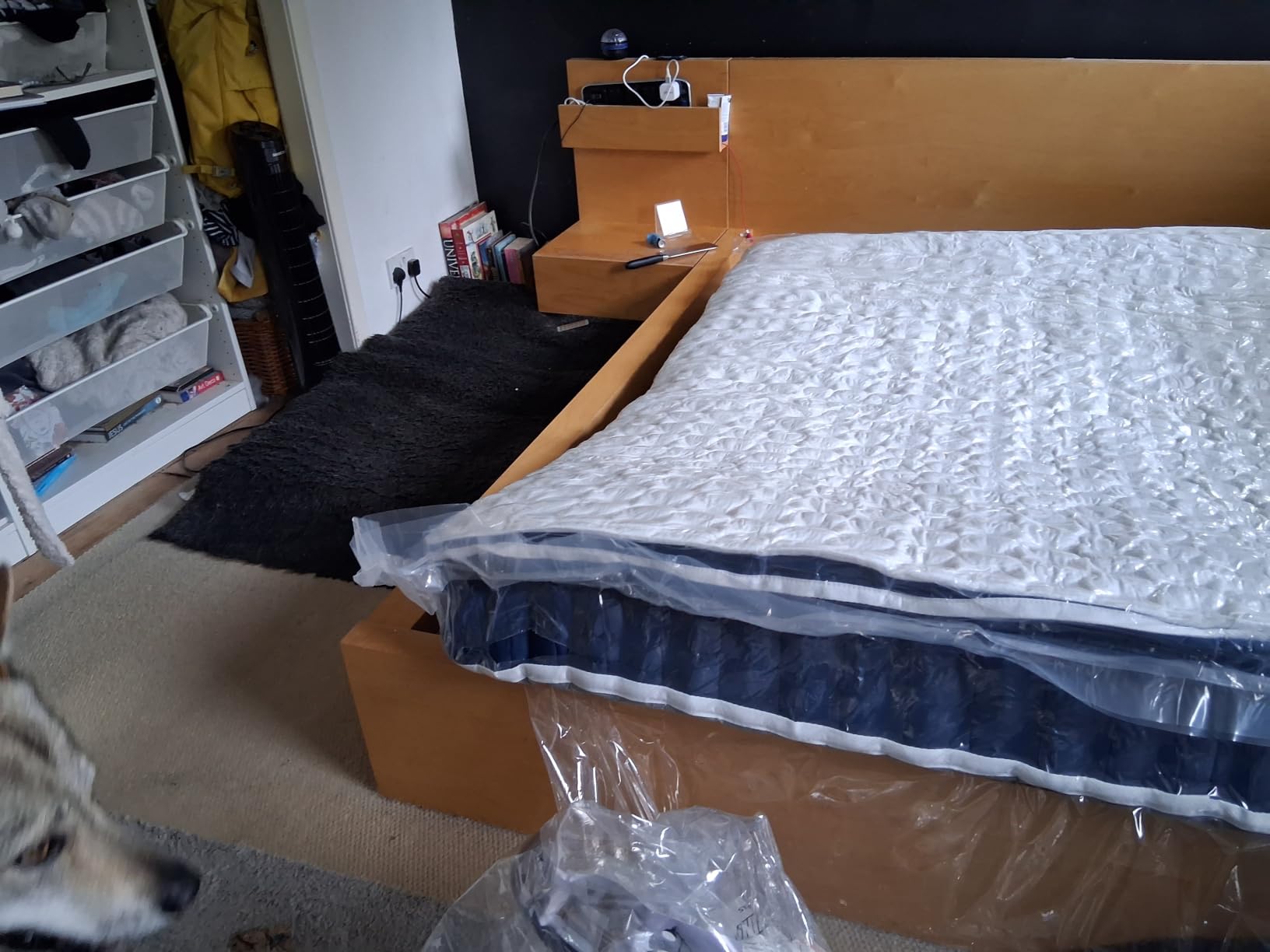Customer photo