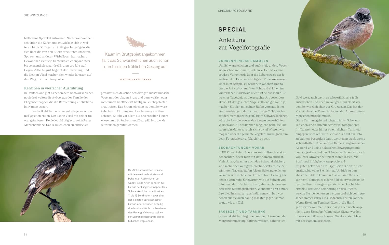 Die magische Welt unserer Vögel: Die heimische Vogelwelt ganz neu entdecken und schützen (BLV Vögel)