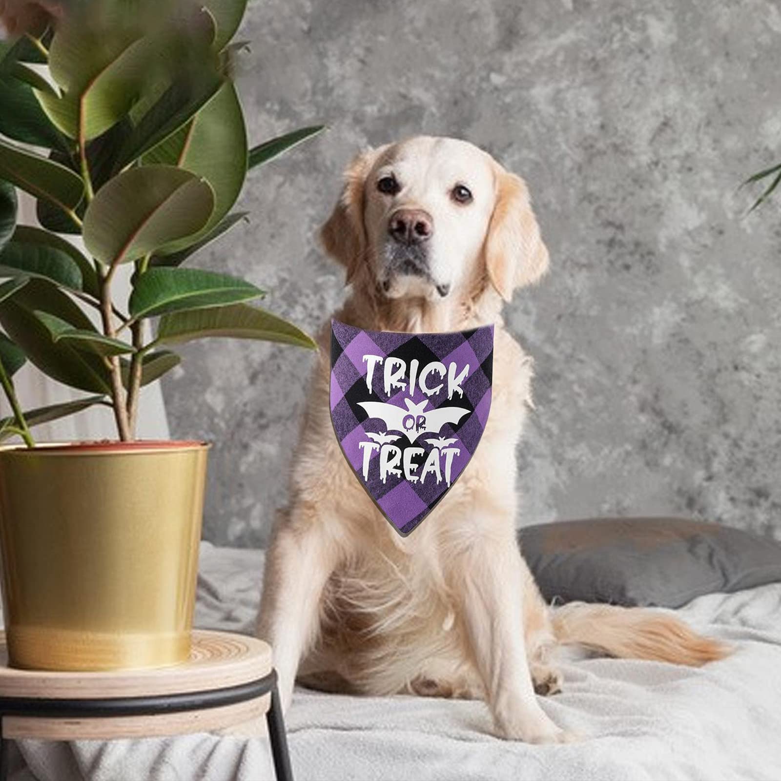 2 Halloween Hundehalstücher Mit Quasten – Karomuster, Baumwolle, Für Kleine Bis Große Hunde (bis 50 Cm Halsumfang)