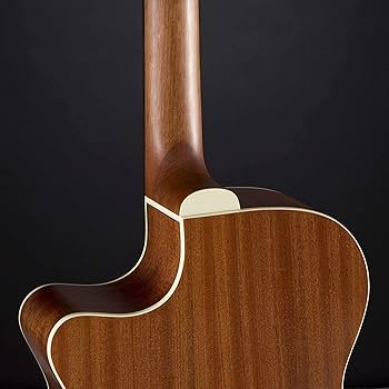 Amazon.com: Guild Guitars OM-240CE Acoustic Guitar, Natural