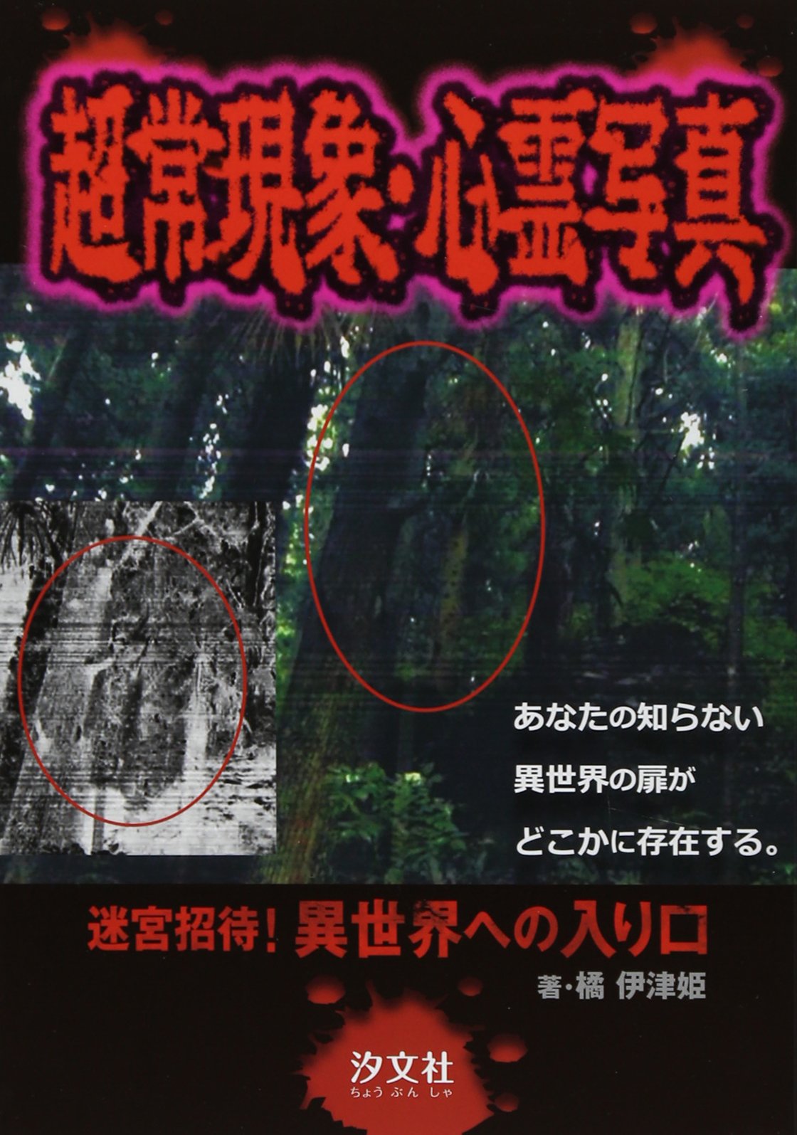 Amazon.co.jp: 超常現象・心霊写真: 迷宮招待!異世界への入り口 : 橘