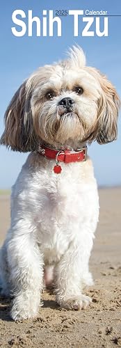 Shih Tzu Slim 2025 Slimline Wall Calendar | Dog Breed Calendar: Original Avonside-Kalender - Slimline [Mehrsprachig] [Kalender]