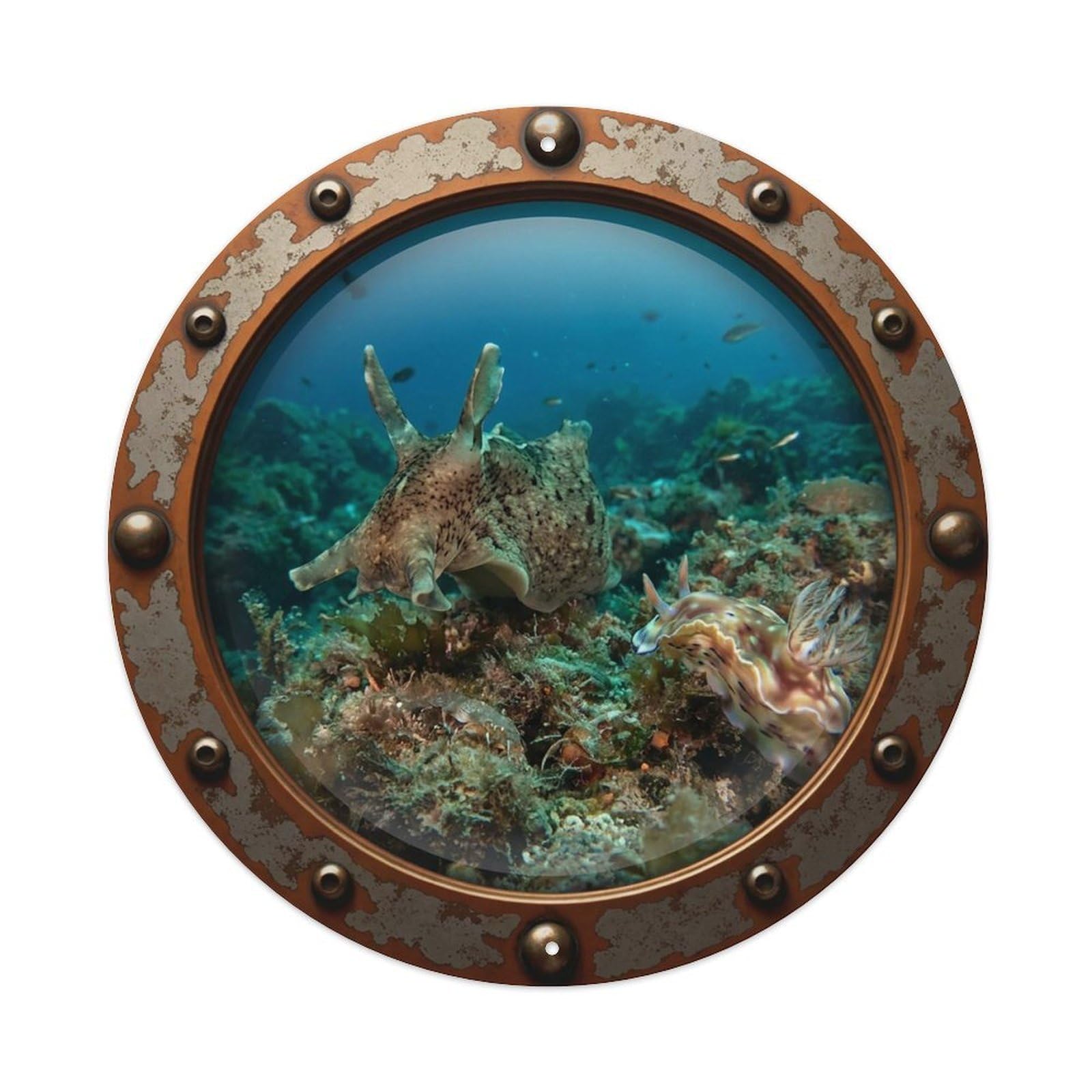 Vintage Porthole Sea Hare Nautical Window View Metal Tin Sign