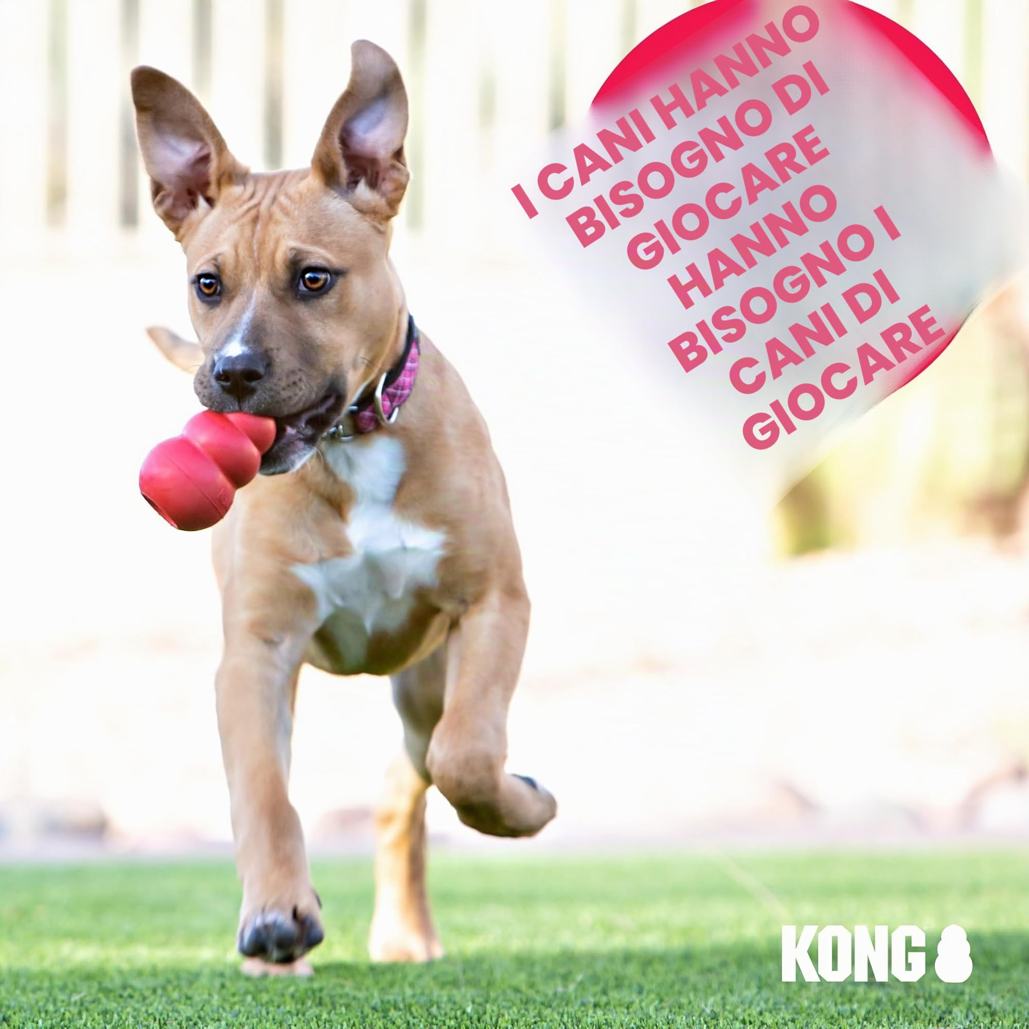 KONG Volantino per Cani Reflex