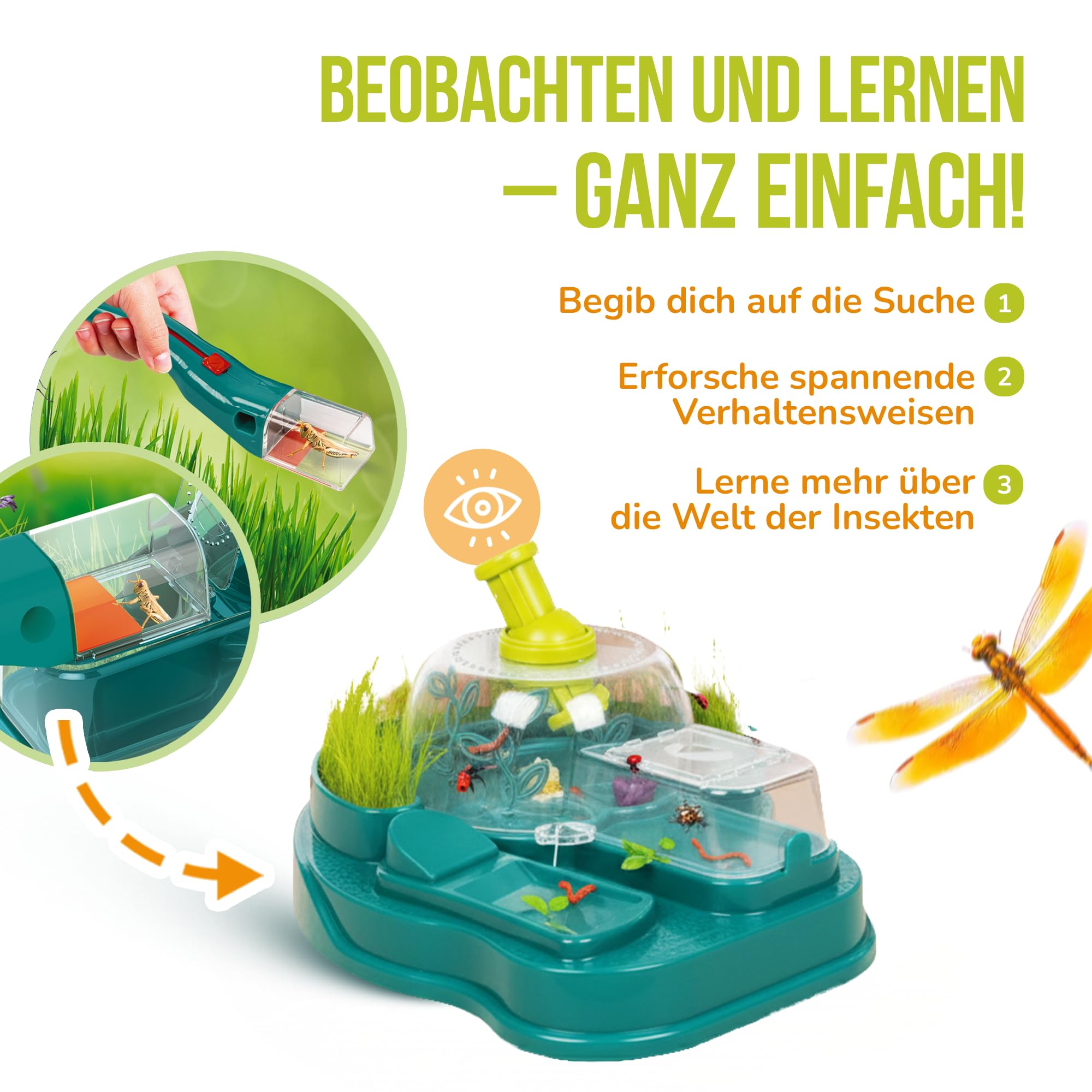 Galileo Lab Insekten Beobachtungs-Station - Forschungsstation für Insekten, Raupen & Schmetterlinge, mit Zubehör - Für Kinder ab 7 Jahren - 59460 von Clementoni
