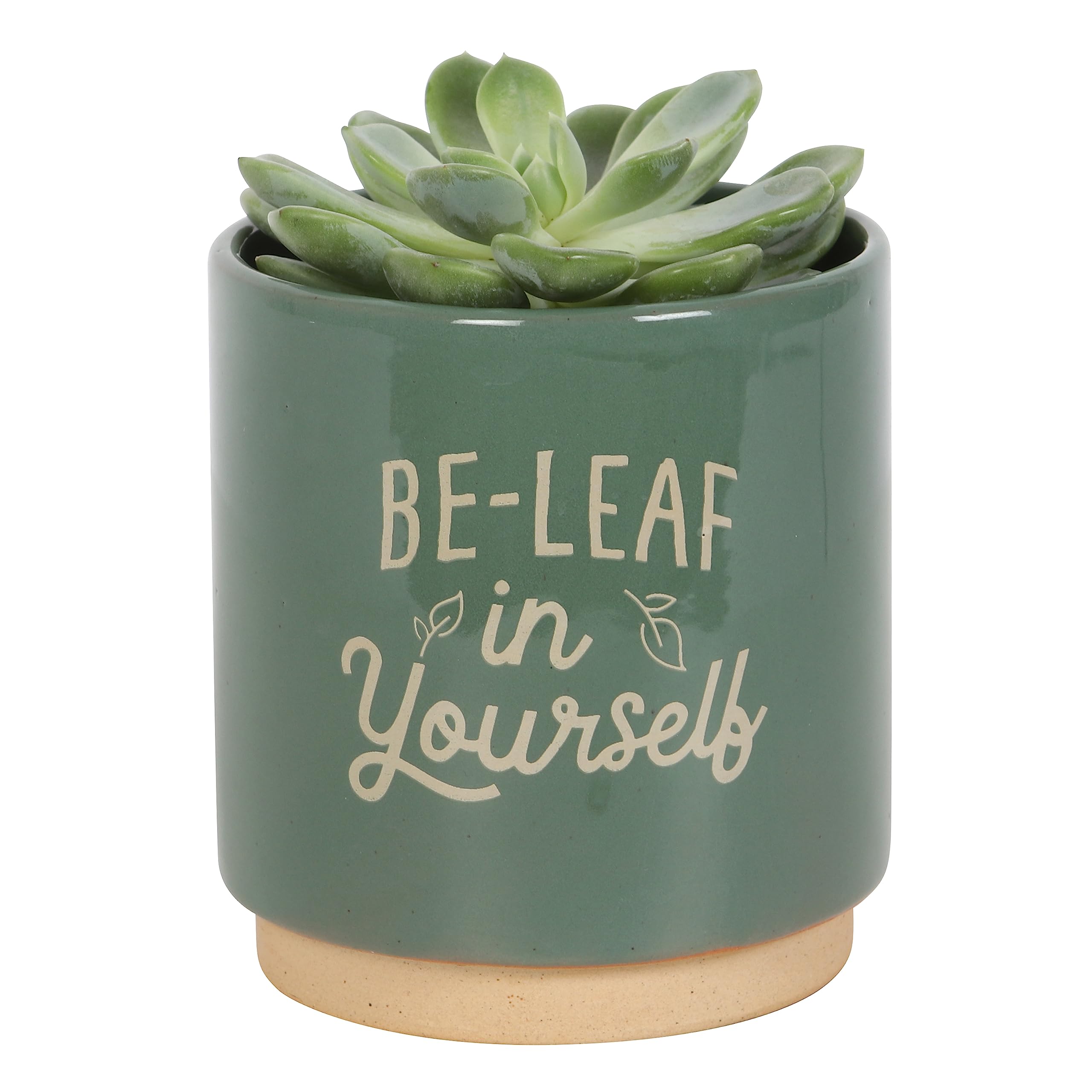 Something Different Wholesale Green Be-Leaf in Yourself Plant Pot - Inspirational Earthenware with Green Glaze | Ideal for Garden Centres and Gift Shops