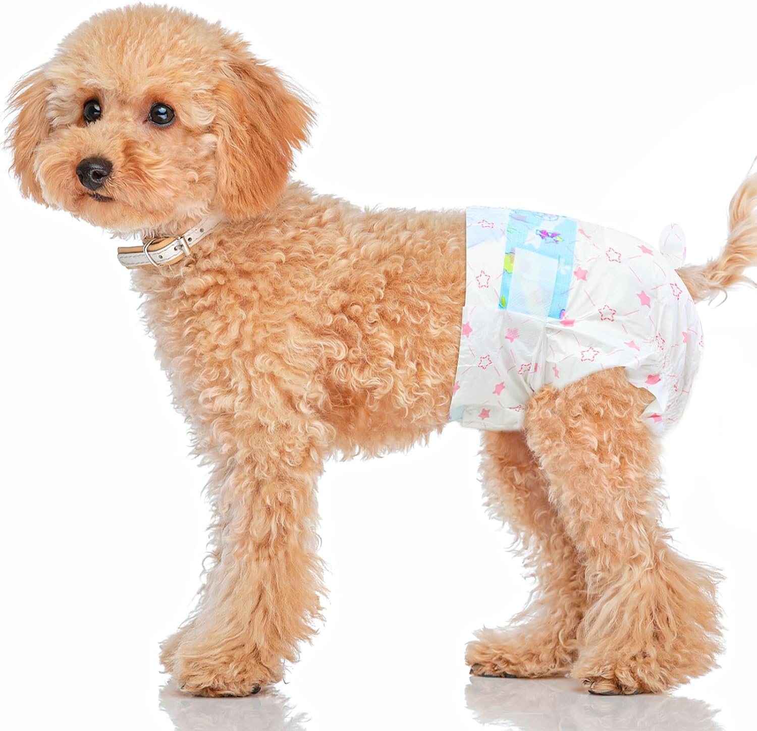 Ambreview 50 PCS Dog Diapers Female, Ultra-Absorbent Puppy Diapers for Female Dogs with Stretchy Waist, Pull Up Doggie Diaper for Heat/Excitable Urination/Urinary Incontinence for Senior Dog (M)