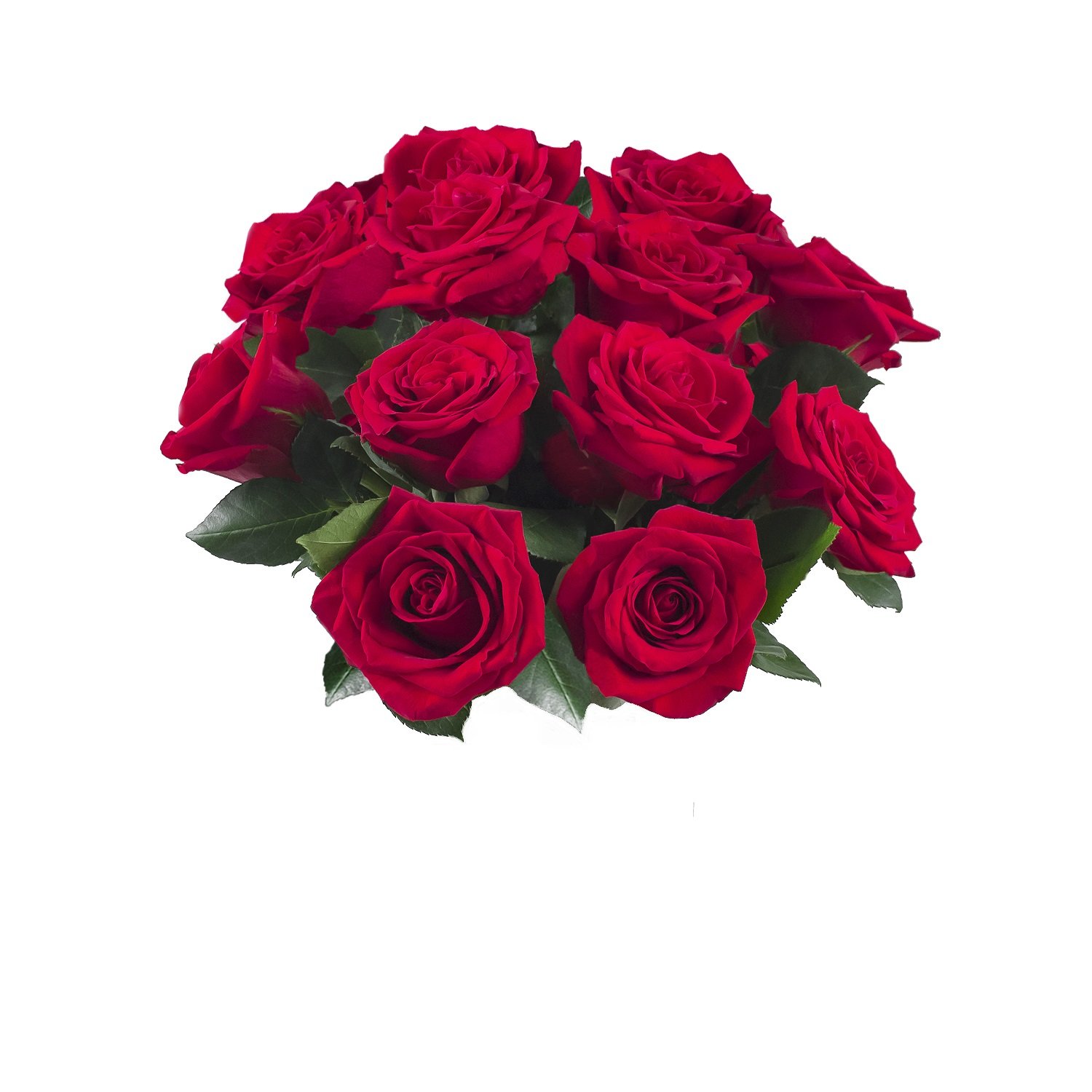 Fresh Flowers Red Rose Market Bunch Grocery & Gourmet Food