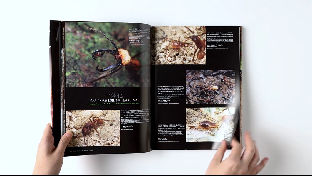 蟻客 アリと共に生きる虫たち | 小松 貴, 島田 拓, 丸山 宗利 |本