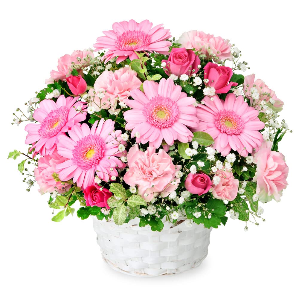 11月の誕生花（ガーベラ）】花キューピット 誕生日 お祝い 記念日