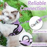 Vista 97 de rabbitgoo Arnés y correa para caminar, a prueba de escapes, chaleco suave y ajustable para gatos, fácil de controlar, transpirable, tiras