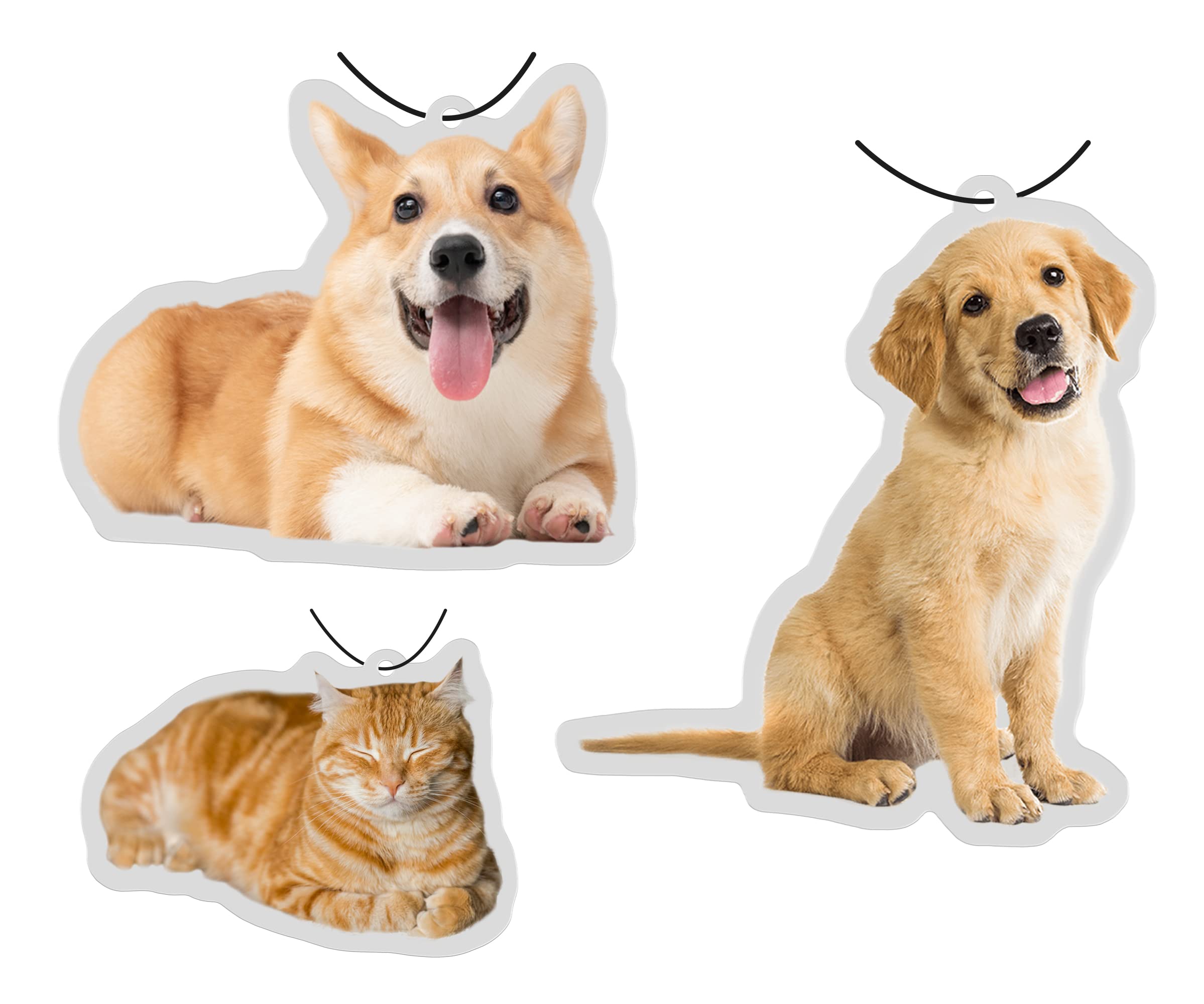 1000PCS Custom Bulk Car Air Fresheners Picture Air Fresheners Personalized Scents Air Freshener Car Deco Accessories Promotional Items — view 2