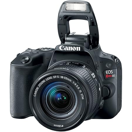 Canon EOS Rebel SL2 DSLR Camera with EF-S 18-55mm STM Lens - WiFi Enabled