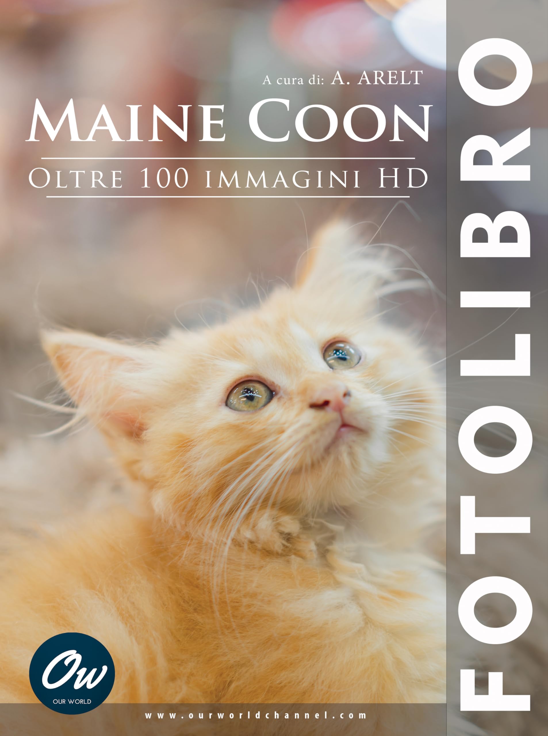 Album photo Maine Coon un beau livre d'images HD pour votre salon