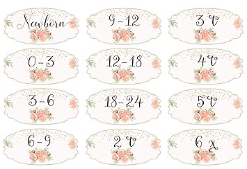 amazon com mumsy goose girl nursery drawer labels peach floral baby clothes organizers gold mint dresser stickers everything else