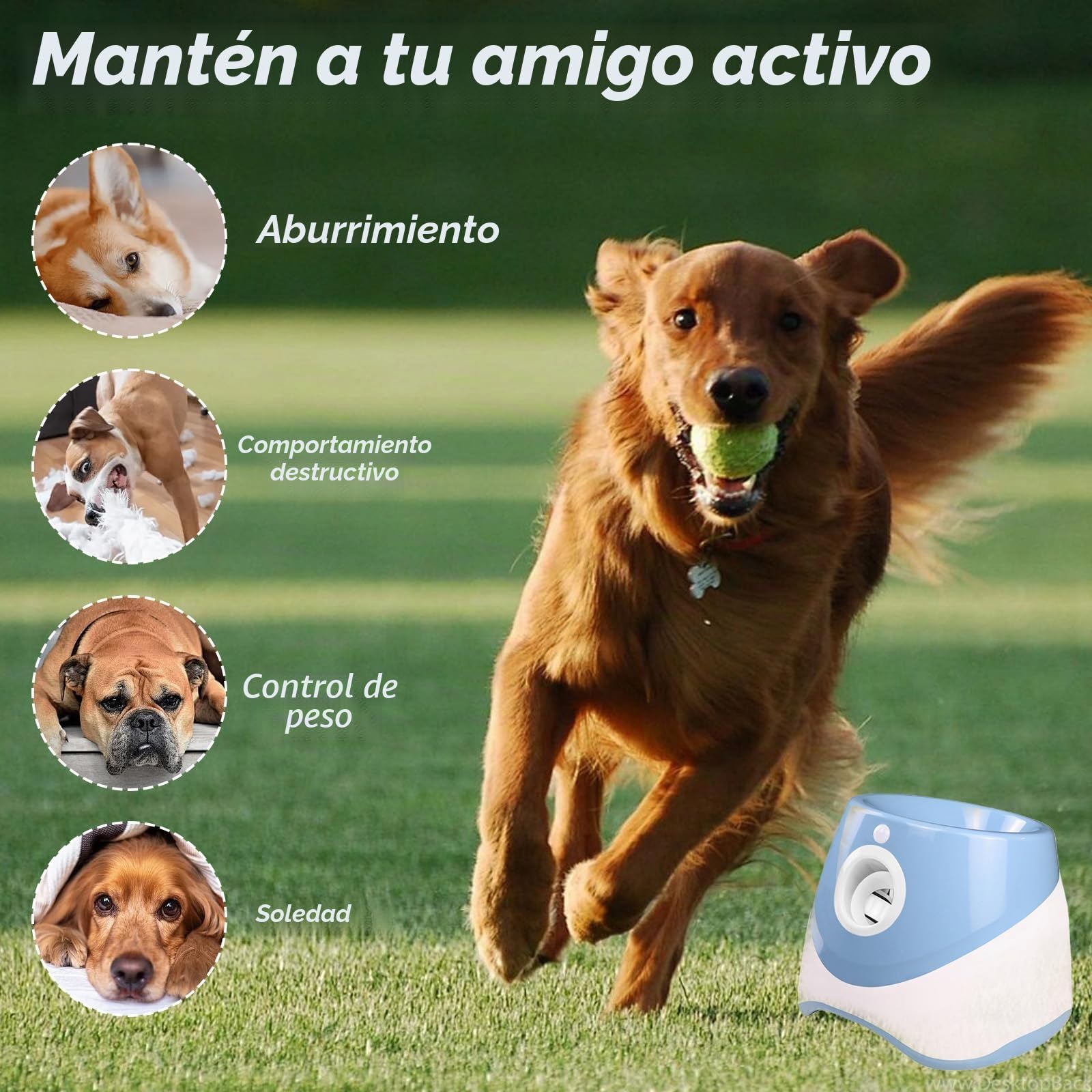 Lanzador de bolas para perros automático, lanza bola para perros con 6 bolas, distancia ajustable 3-9m, lanzador de bolas automático interactivo para perros, juguete de entrenamiento interior al aire