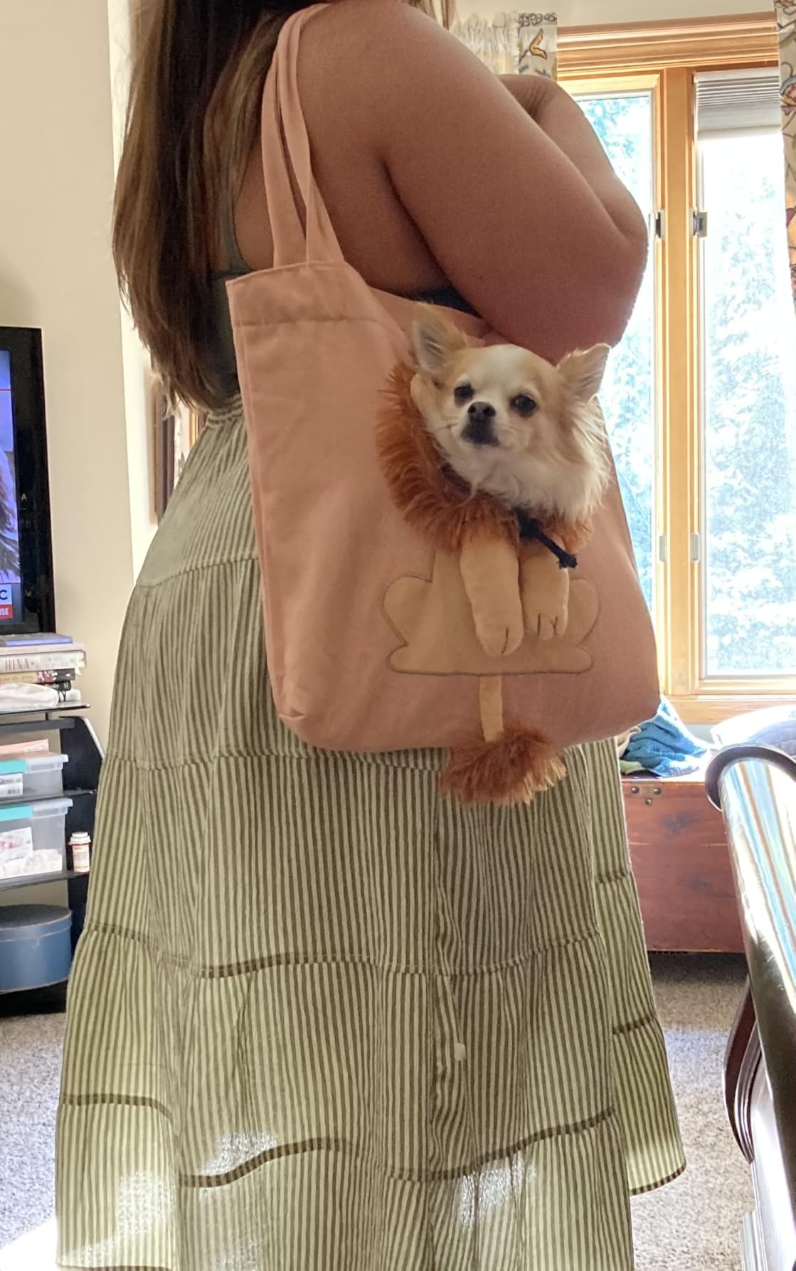 Small but very cute