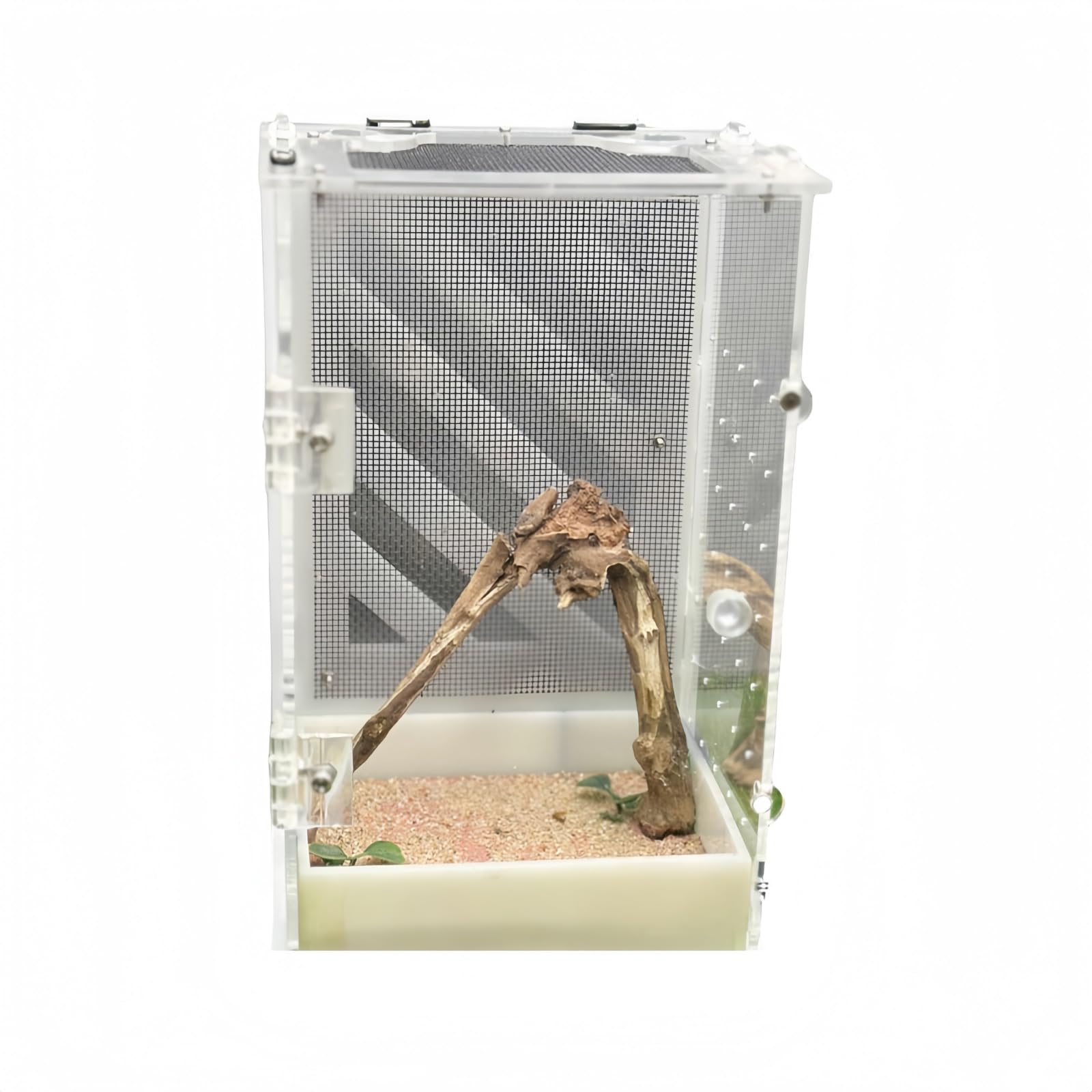 Amazon | haoyunshengyi カマキリ飼育箱 飼育容器アクリル