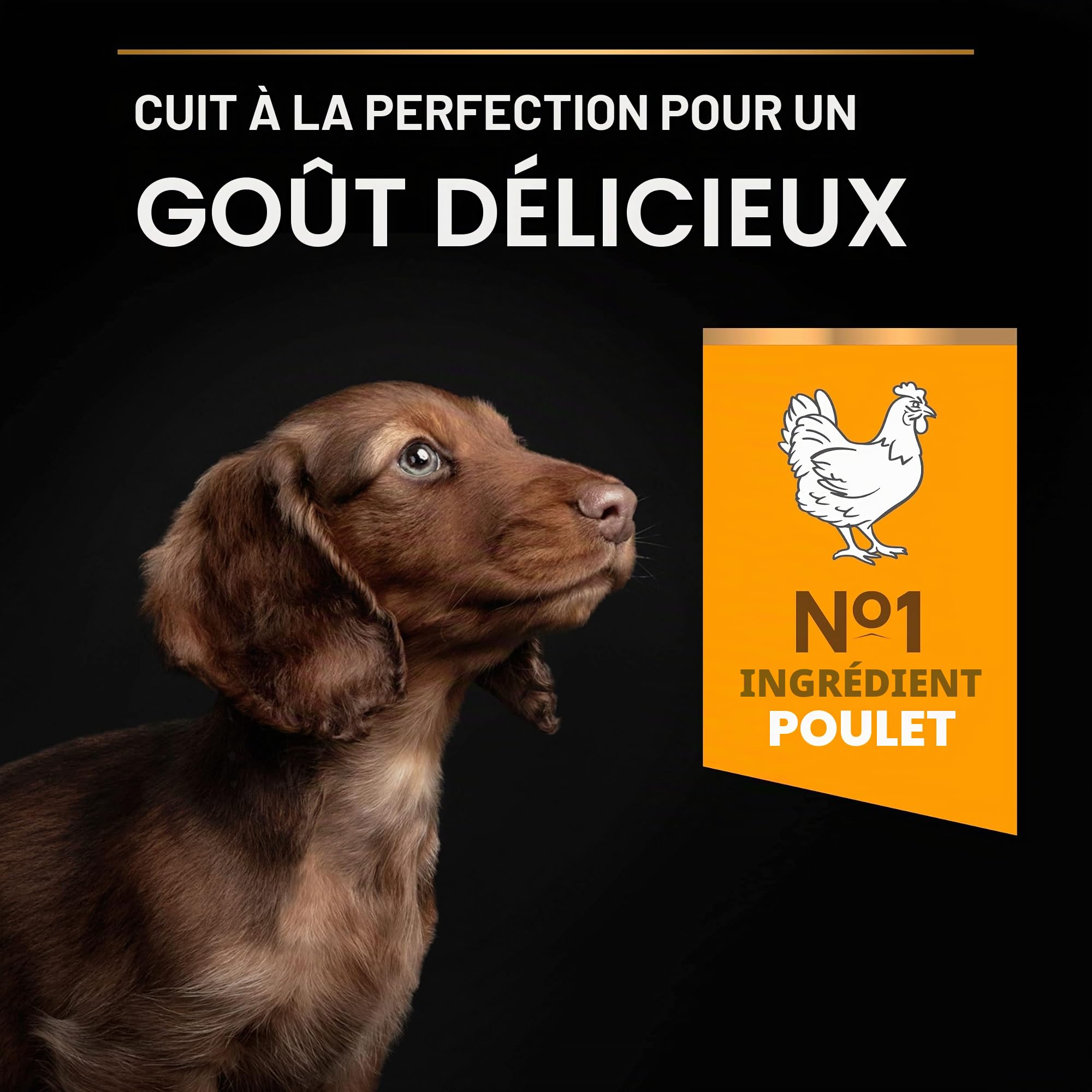 Purina Pro Plan Lot de 4 Petits Chiots et Mini avec OPTISTART Poulet 3 kg