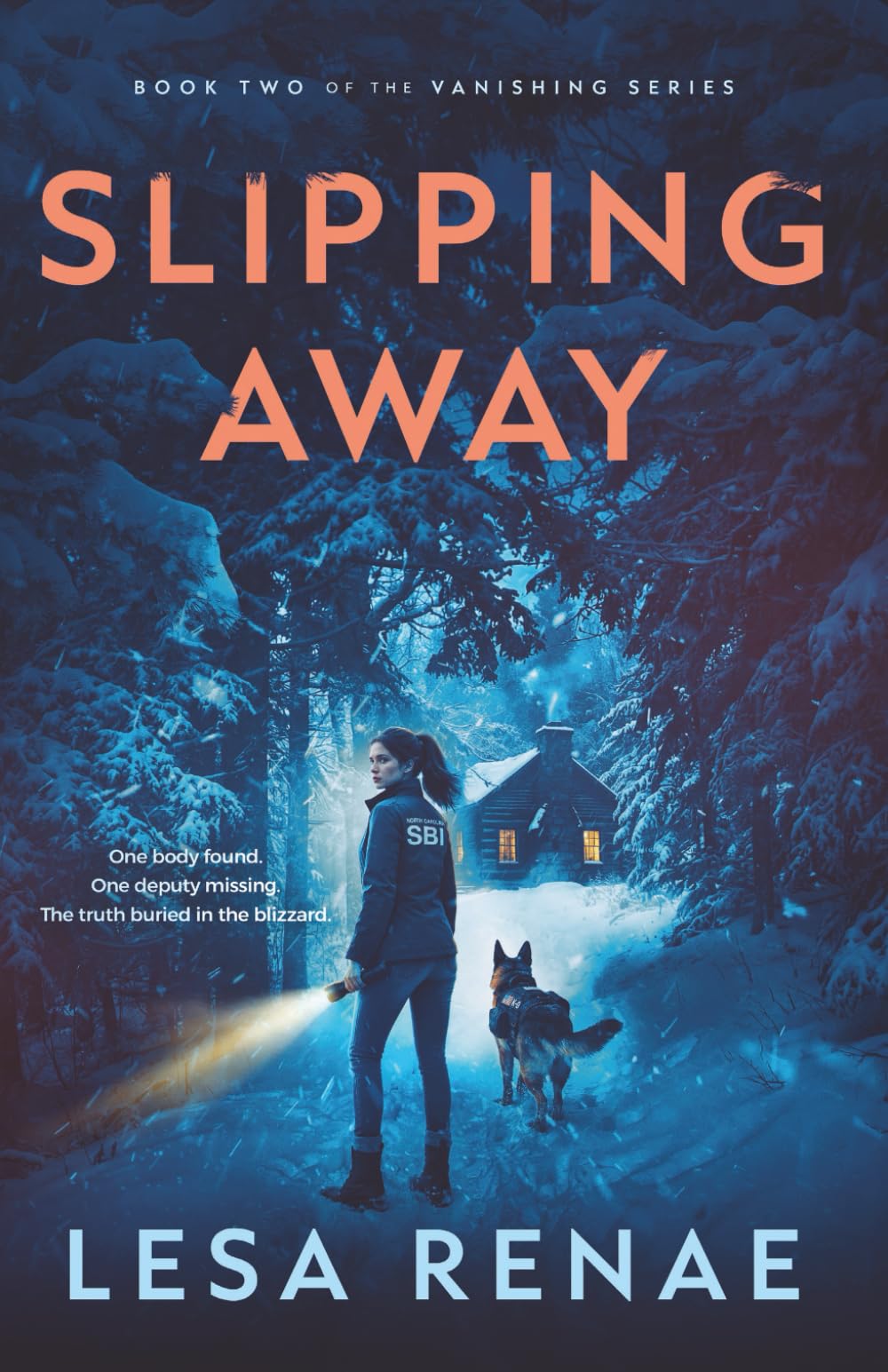 Slipping Away: A Small-Town Romantic Suspense Novel (The Vanishing Series)