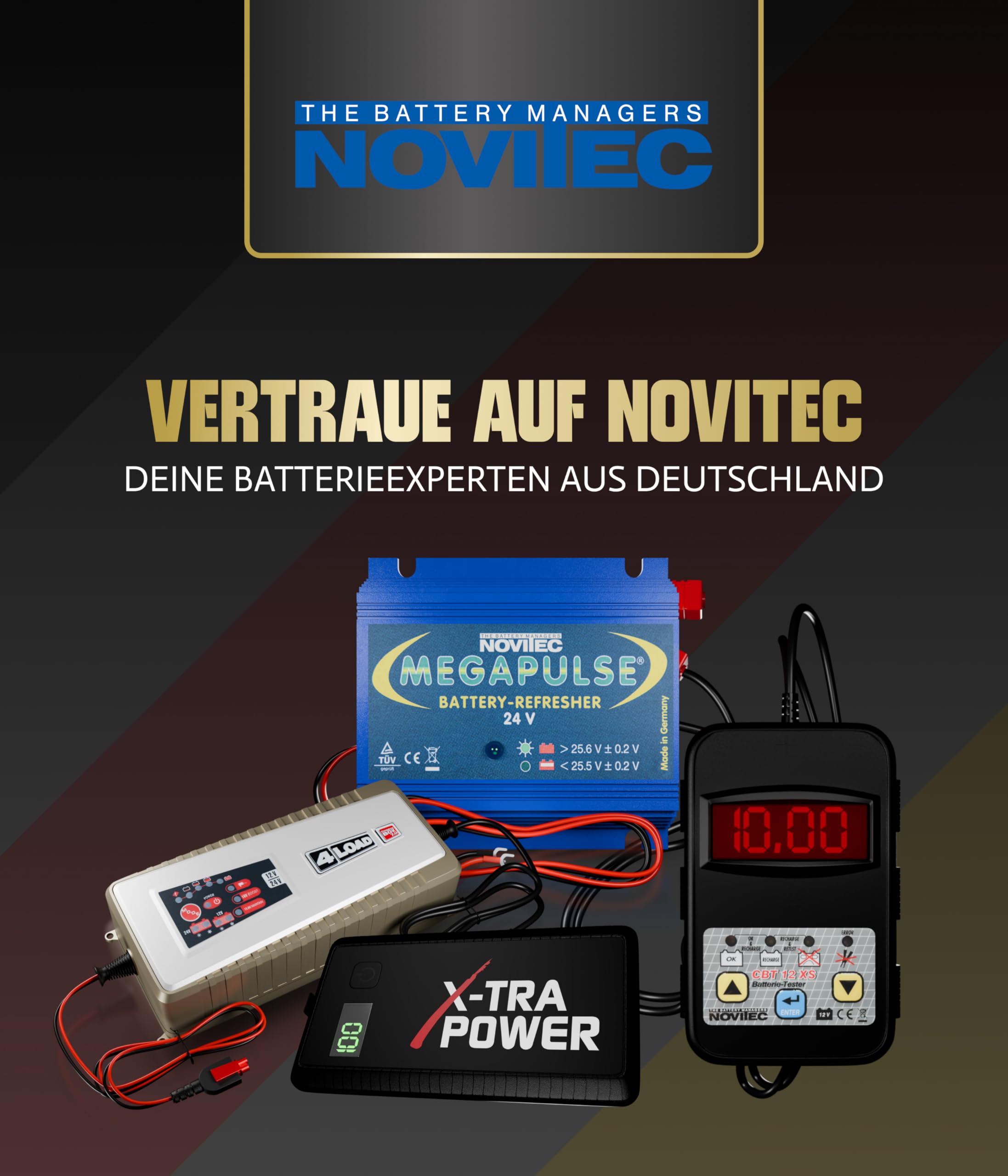 Megapulse 655000032 Batteriepulser für 12 Volt Batterien, Anzahl 1