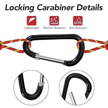 Amazon.com: Zalava Aluminum Carabiner Clip D Ring, 24PC