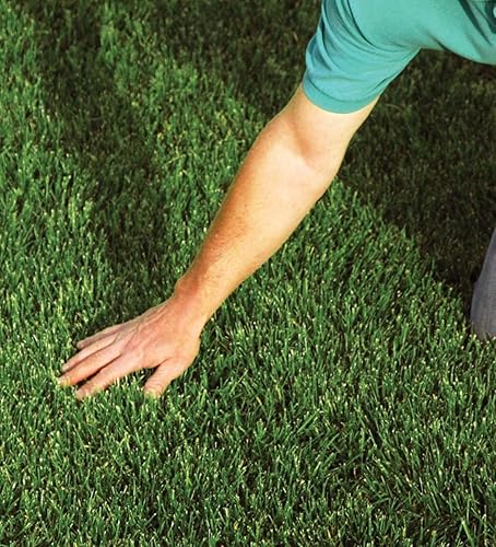 Miniatura 6 de EZ-Straw - Mantillo de siembra con tachuela, paja procesada biodegradable, paca de 2.5 pies cúbicos (cubre hasta 500 pies cuadrados) (paquete de 4)