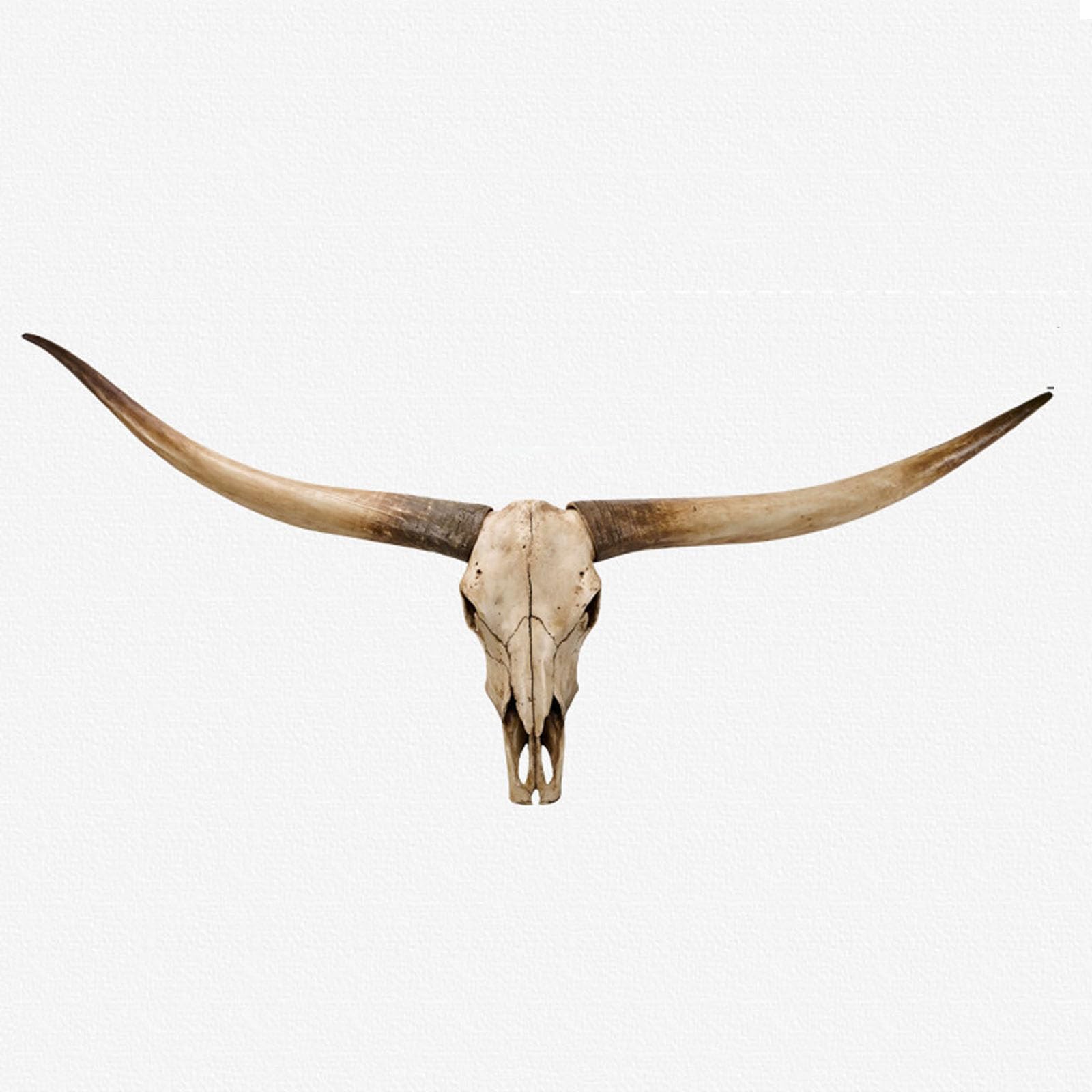 XUHCLY Long Horns Wall Decor,Animal Longhorn Skull,Cow Resin Animal Head Wall Decor,Faux Taxidermy Medieval Decorations(Size:178x16x70cm,Color:A-Brown)
