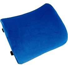 Bookishbunny Premium Memory Foam Lumbar Support Cushion Pillow Blue