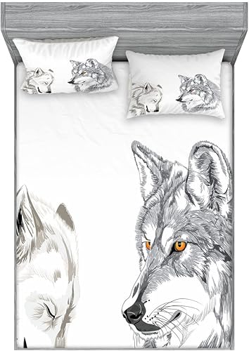 Miniatura 192 de Ambesonne Juego de sábanas bajeras y fundas de almohada, dibujos de aviones antiguos, vuelos clásicos con fechas, estilo vintage, diseño nostálgico,