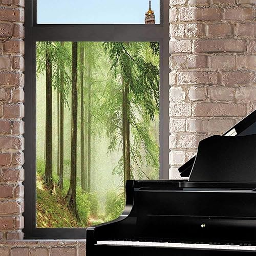 Miniatura 2 de Película de privacidad para ventana de paisaje, foto de bosque brumoso después de la lluvia en el sol, senderismo, camino, aire libre, ventana