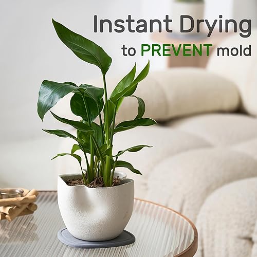 Miniatura 2 de Relime Platillo para plantas, secado instantáneo, platillos de diatomeas para plantas de interior, bandeja de drenaje de plantas, bandeja colectora