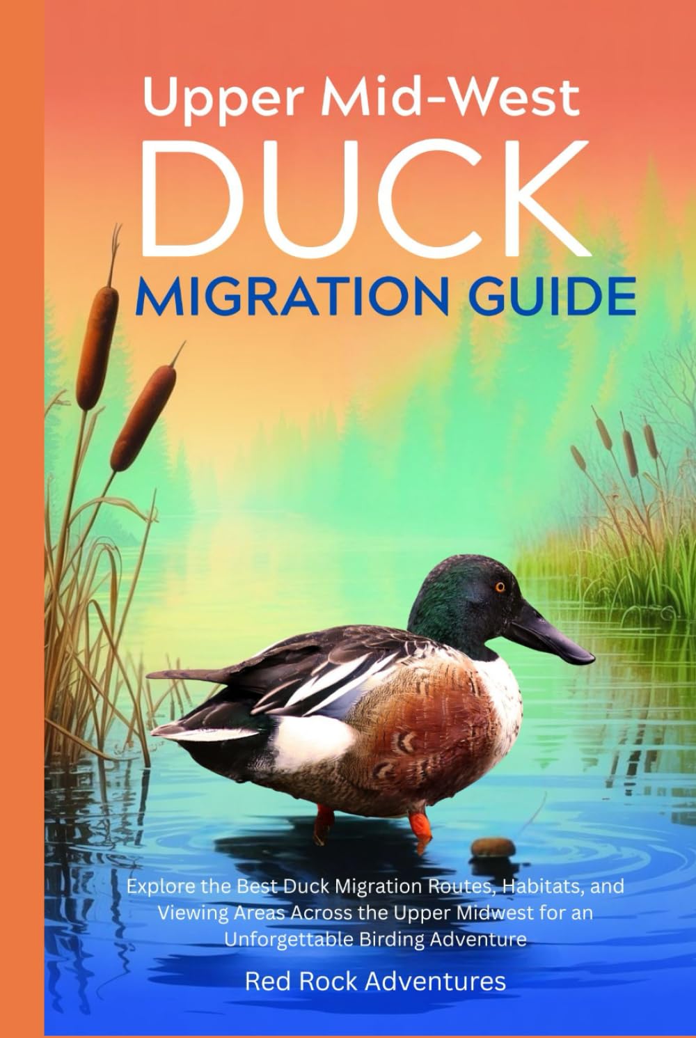Upper Mid-West Duck Migration: Explore the Best Duck Migration Routes, Habitats, and Viewing Areas Across the Upper Midwest for an Unforgettable Birding Adventure