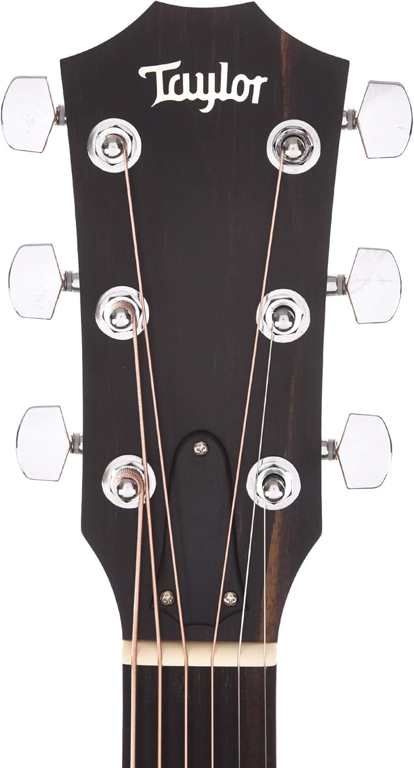 Taylor 210ce Walnut Acoustic-Electric Guitar 402