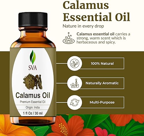 Miniatura 2 de SVA - Aceite esencial de cálamo de 1 onza, 100% puro y natural, de grado terapéutico con cuentagotas para difusor, aromaterapia, piel, cabello y