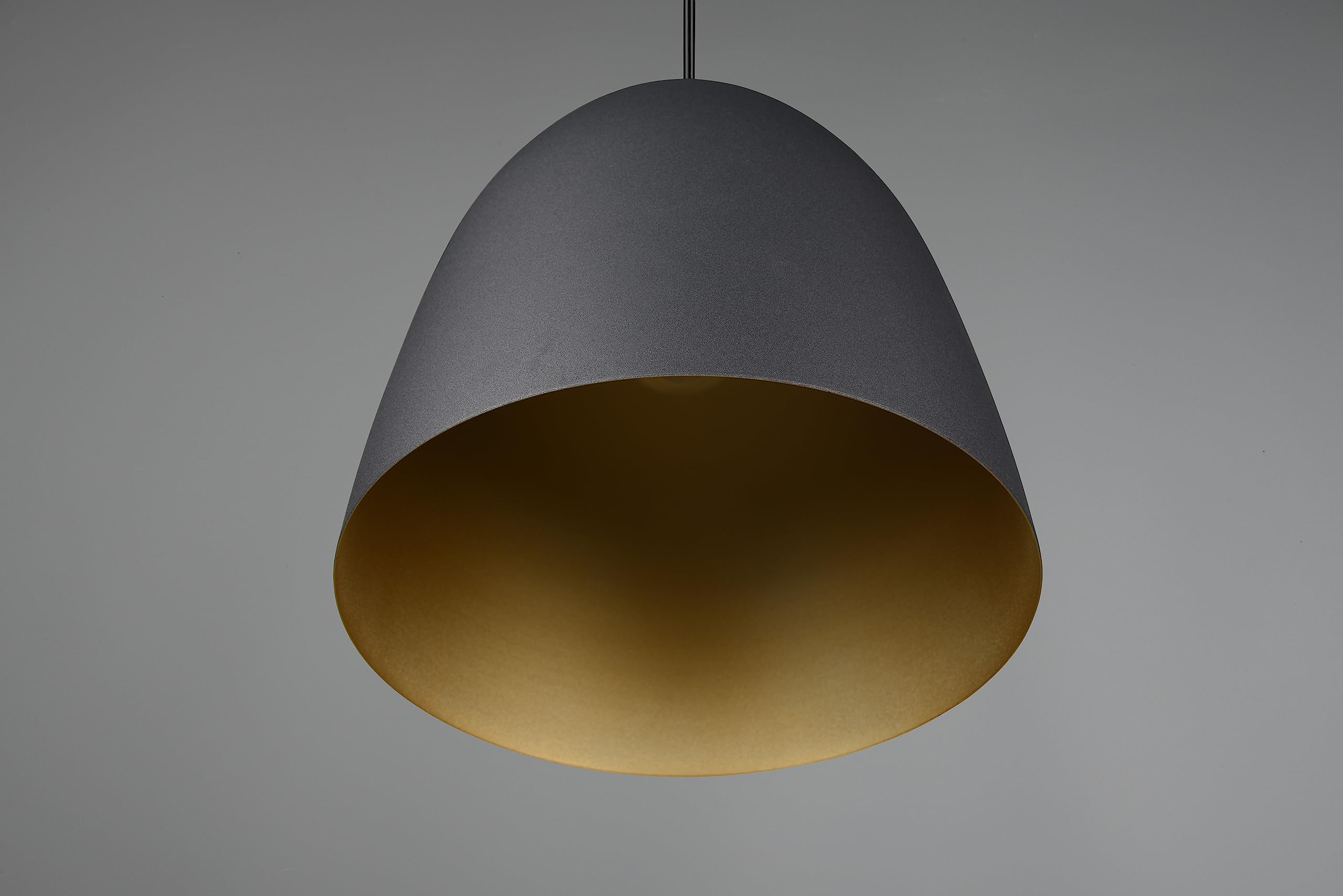Reality Leuchten Pendelleuchte Tilda R30661080, Schirm Metall Schwarz matt/goldfarbig, exkl. 1x E27