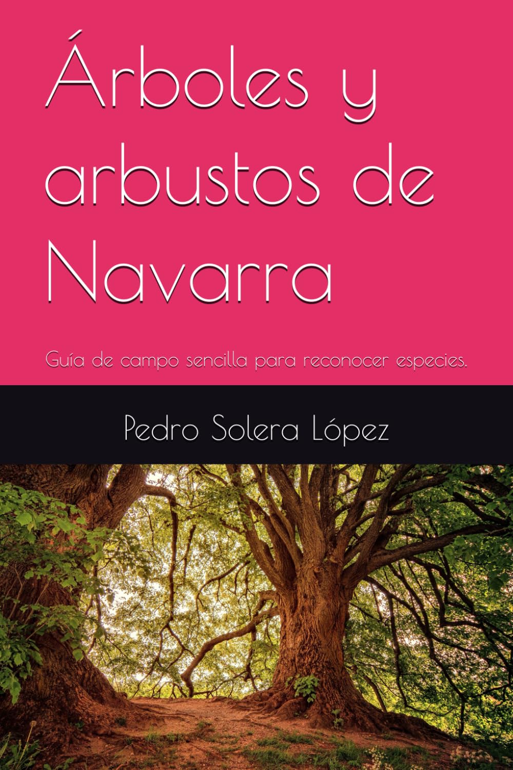 Árboles y arbustos de Navarra: Guía de campo sencilla para reconocer especies.