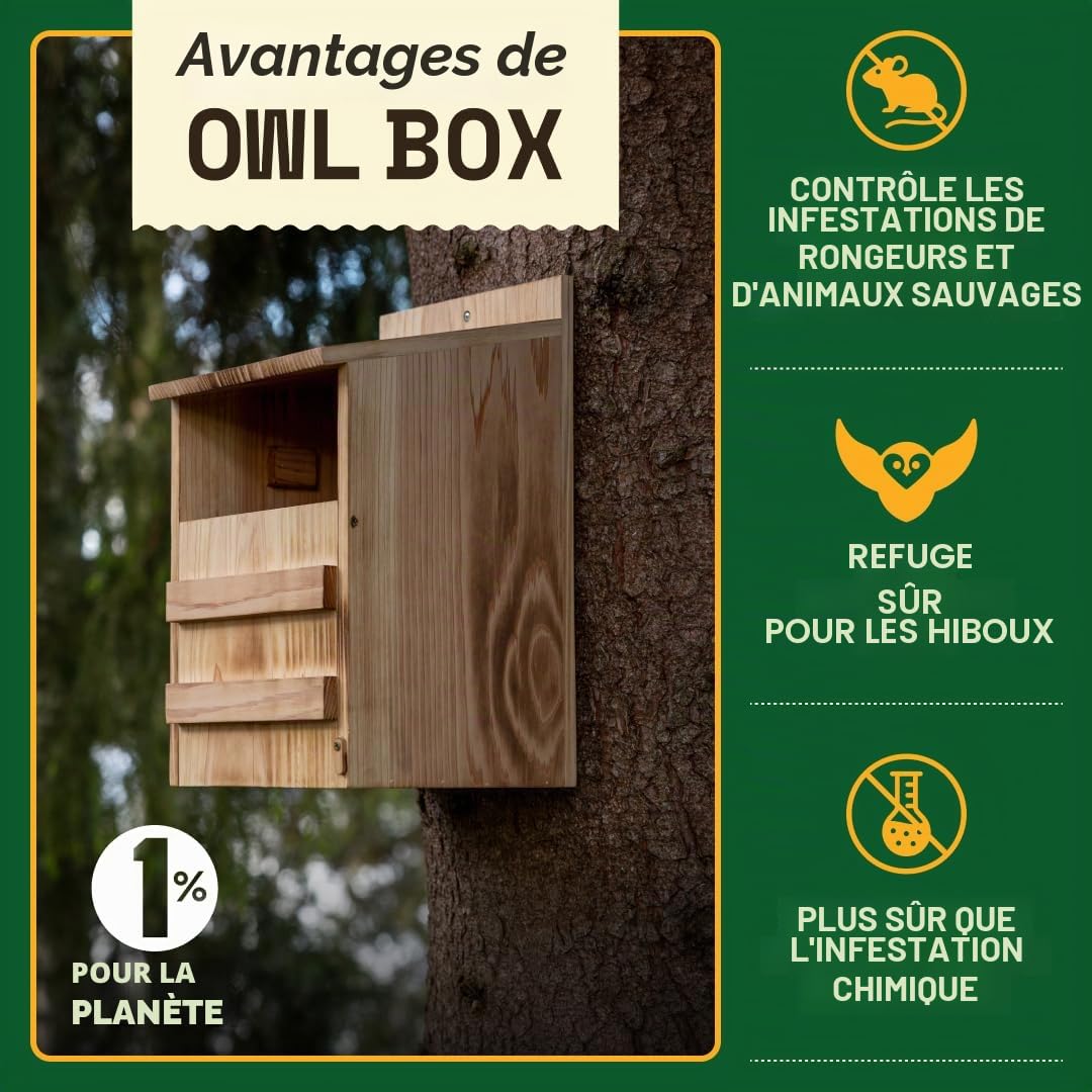 WildYard Nichoir à Chouette Effraie - Grand, Cèdre, Préassemblé | Nichoir à chouettes traditionnel en cèdre avec porte frontale pour un nettoyage facile, attire chouettes et oiseaux.