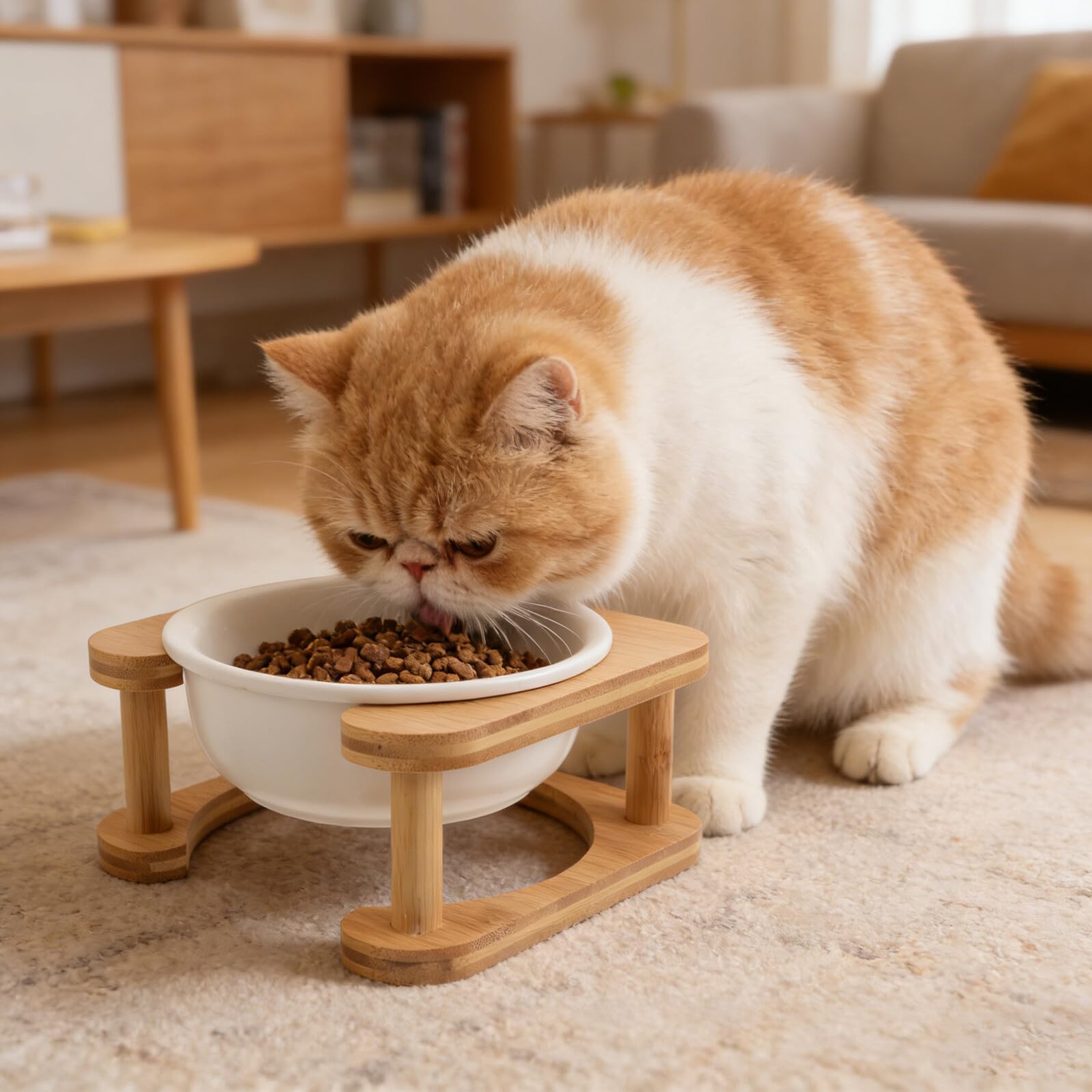 YARNOW Ciotola per Cibo per Cani Rialzata in Ceramica 600 Ml con Supporto in Legno Bianco Antiscivolo, Mangiatoia per Animali Domestici da Interno, Stazione di Alimentazione per Cani