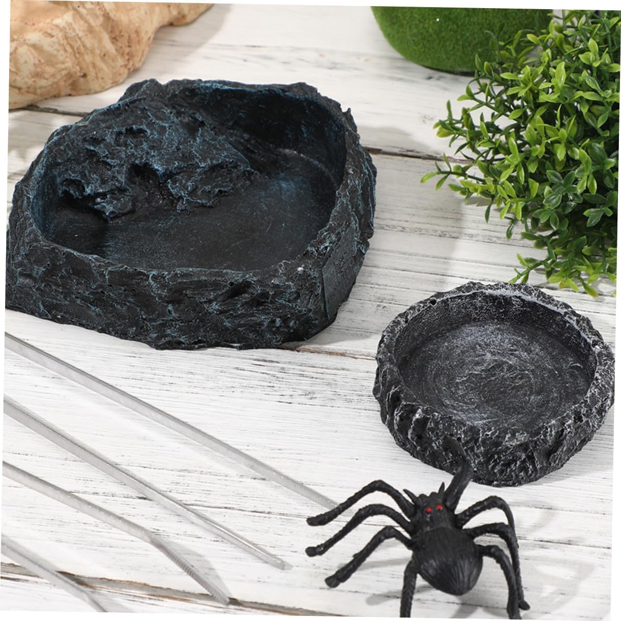 Reptile Feeding Dish Set with Small Gray Water Bowl, Large Food Bowl, and 27cm Curved Feeding Tongs for Bearded Dragon, Tortoise, and Snake Terrarium Accessories