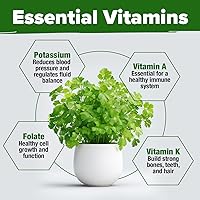 Vista 6 de HOME GROWN Más de 1000 semillas de cilantro para plantar en interiores o exteriores, hierbas tradicionales sin OMG, semillas de plantas de cilantro