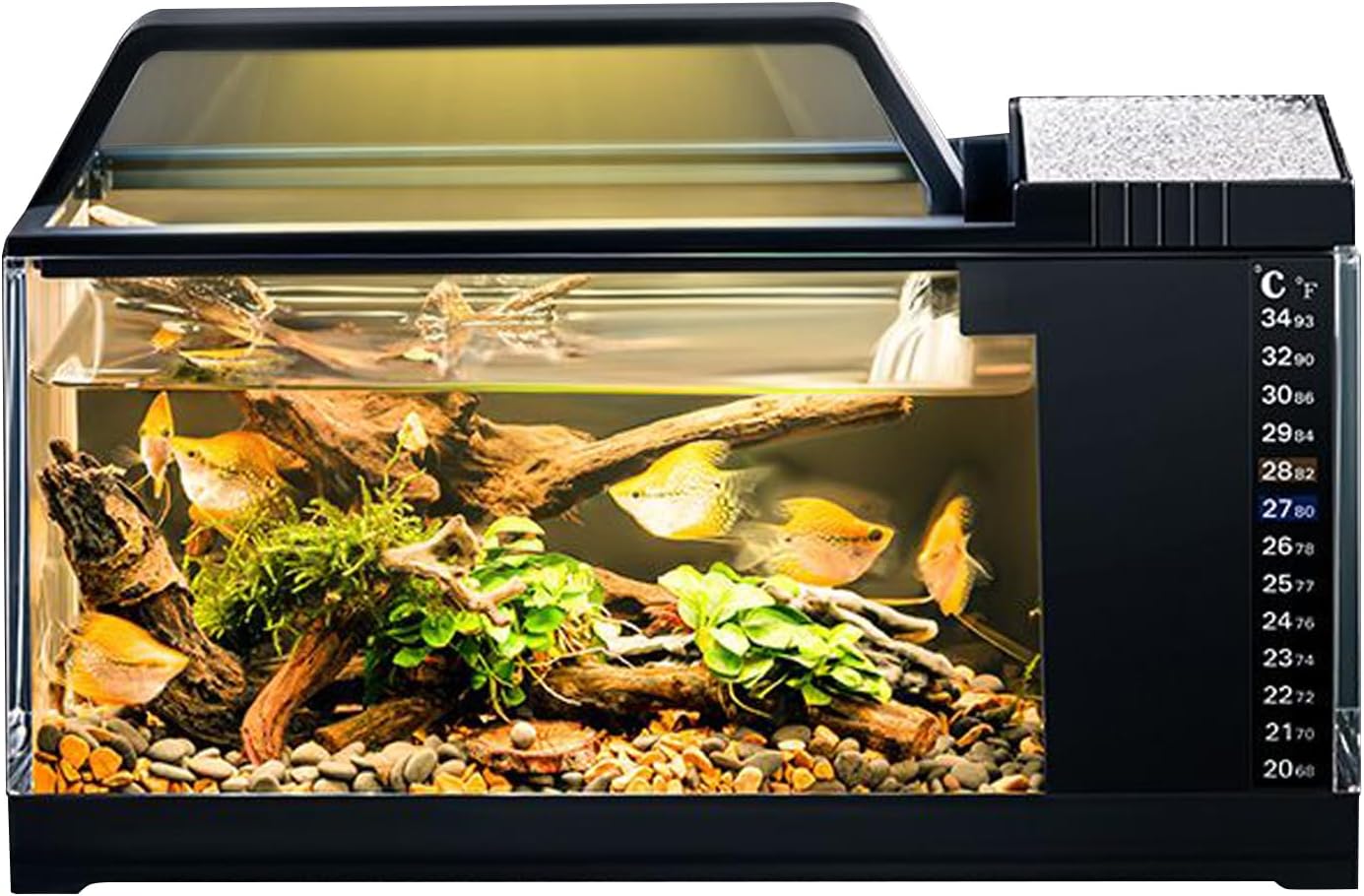 LED Aquarium Tank – Small Desktop Fish Bowl, Integrated Water Pump, Light and Filter System | Easy Maintenance Mini Aquarium for Home Office Living Room Decor