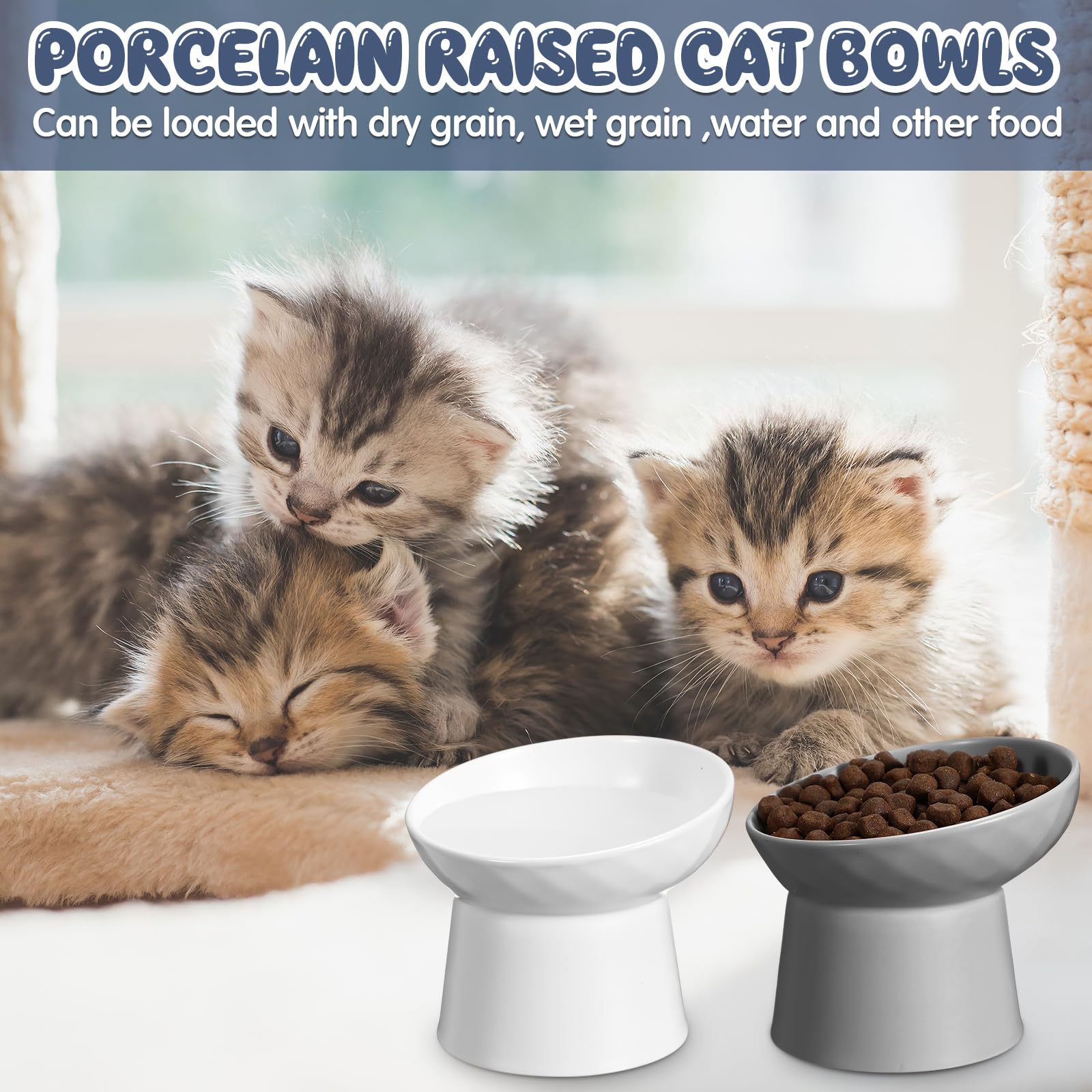 Tanlade 4-Pack Elevated Cat Bowls - Ceramic Tilted Food Dishes For Cats & Small Dogs