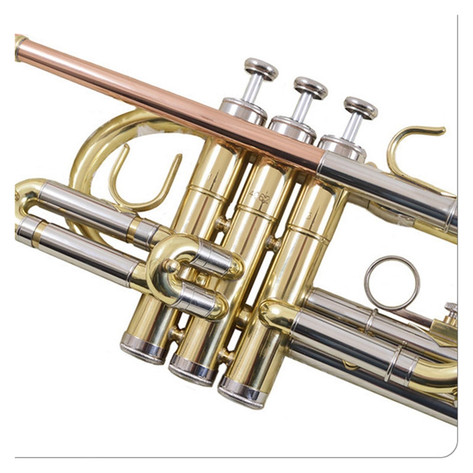 trąbka instrument Trąbka B-dur z mosiądzu zachodniego z pełną powierzchnią fosforową dla początkujących uczniów i zespołów dla dorosłych