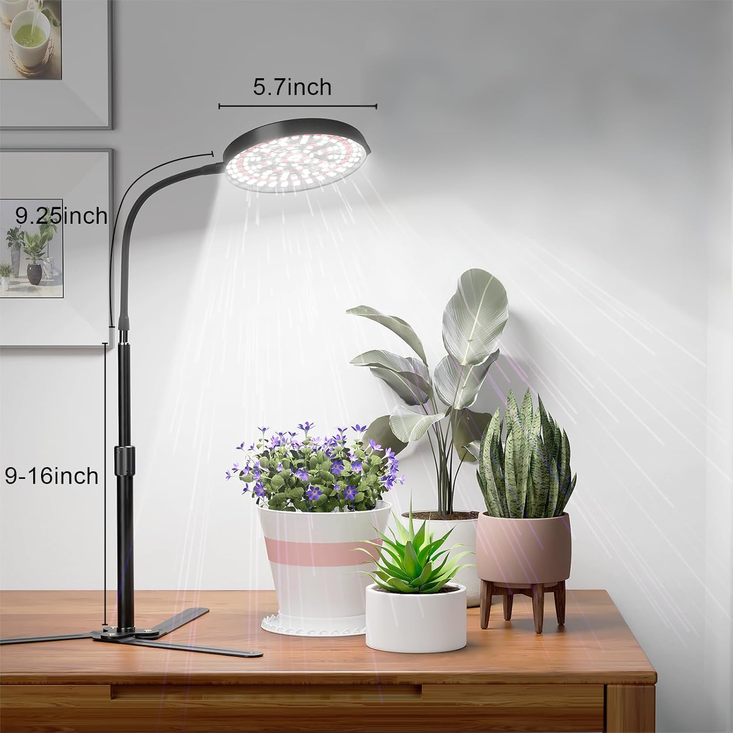 GooingTop Grow Light for Plants Indoor Growing,6000K Full Spectrum Plant Growing Lamp with White Red Blue LED for Pots Succulents Seed Starting,Height 10-32'' with Optional Dimming & Timer